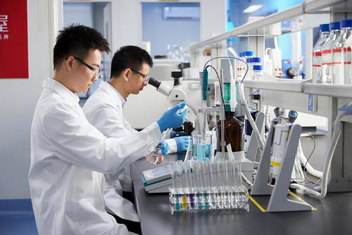 共同富裕视角下技术人才薪酬机制的社会主义思考